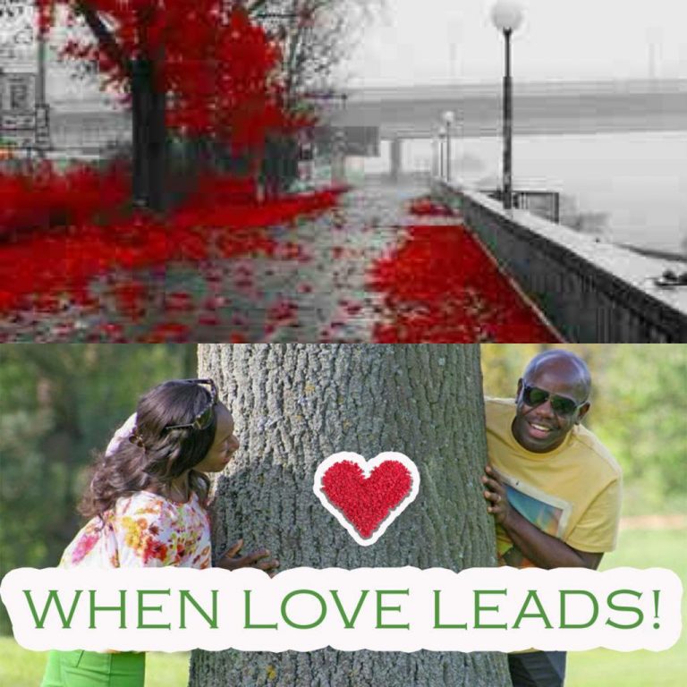 Read more about the article WHEN LOVE LEADS