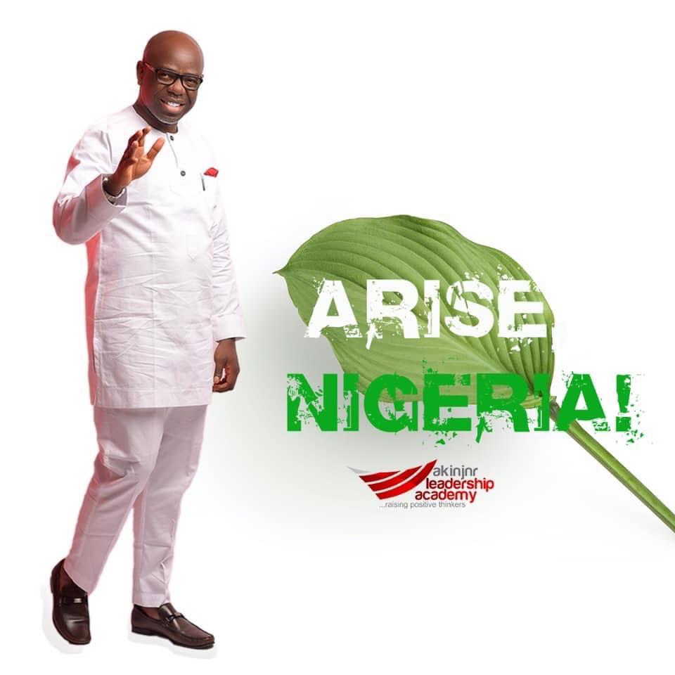 Read more about the article ARISE, NIGERIA